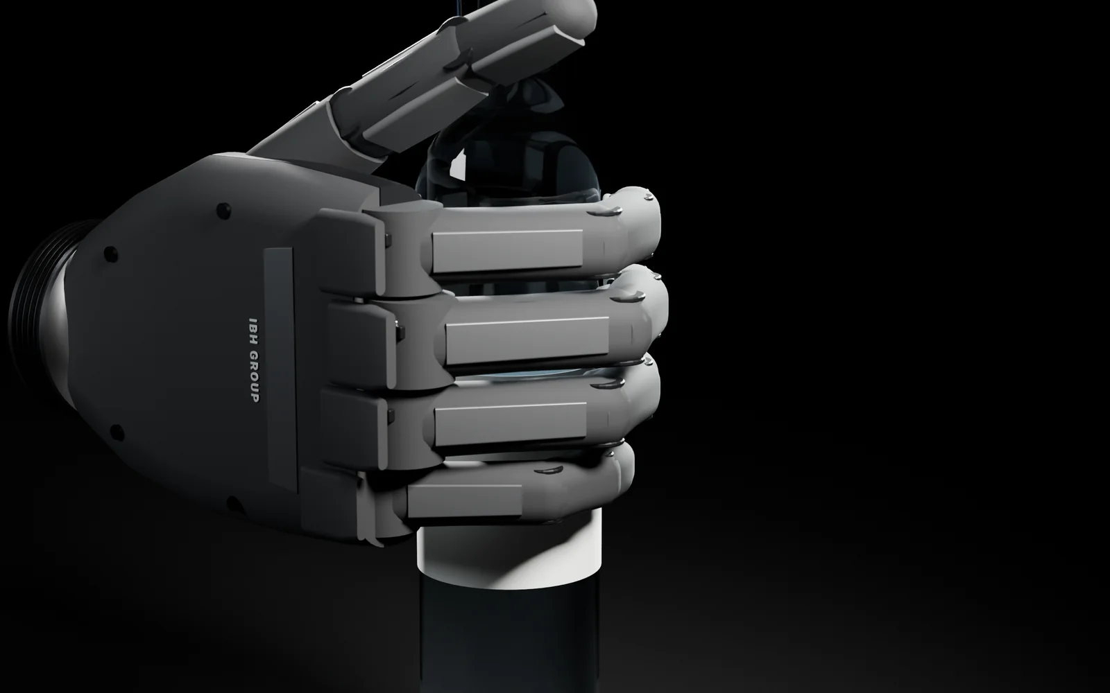 Flexa Robotic Hand